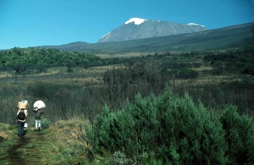 Der Marangu Trail, auch Coca Cola Route genannt, auf den Kilimanjaro